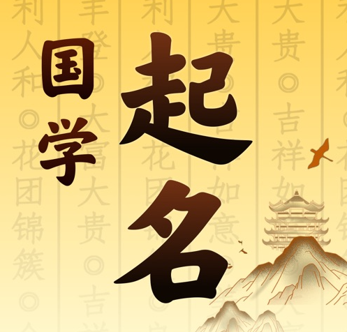 宁洱国学起名 人工起名一对一